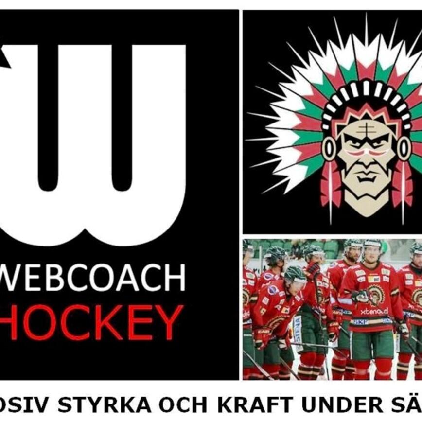 Frölunda SM-guld 2016 Webcoach Sport Hockey